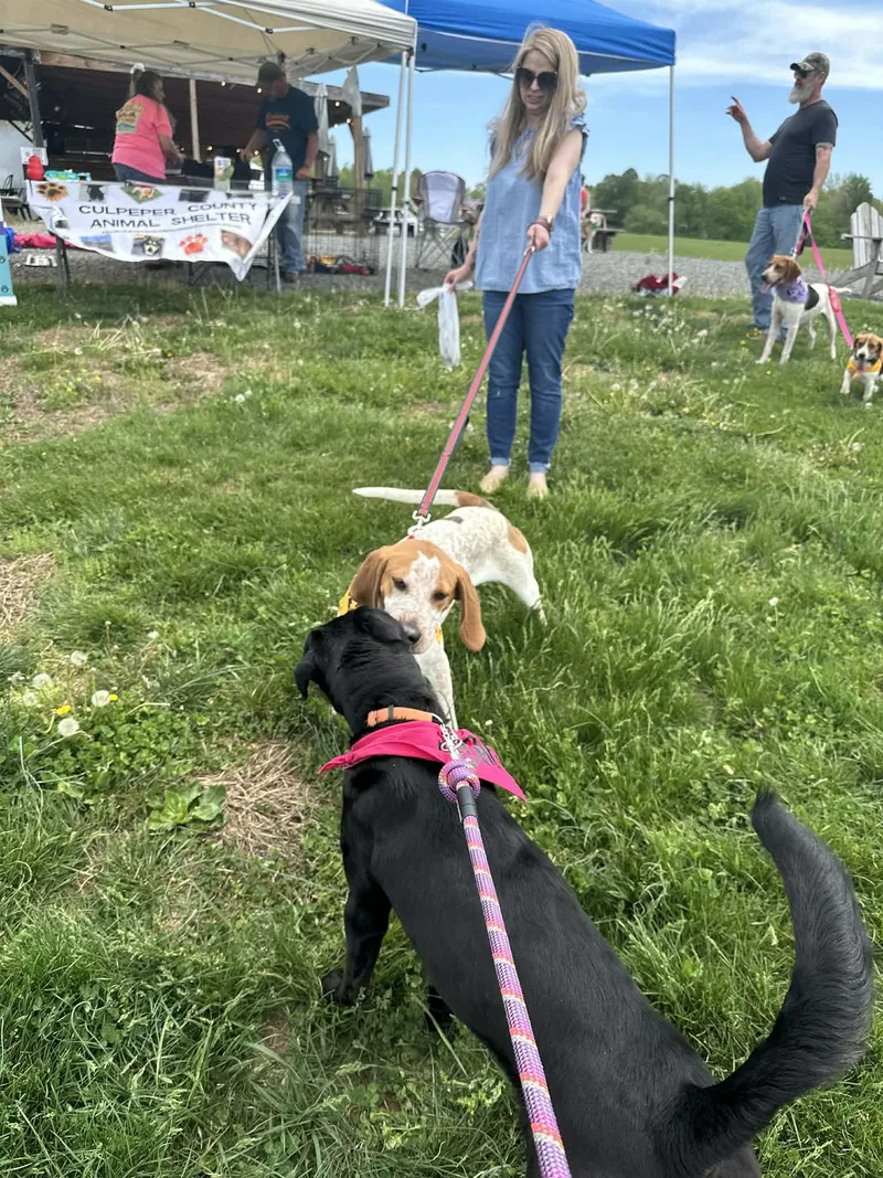 Lil Knife thumbnail 6