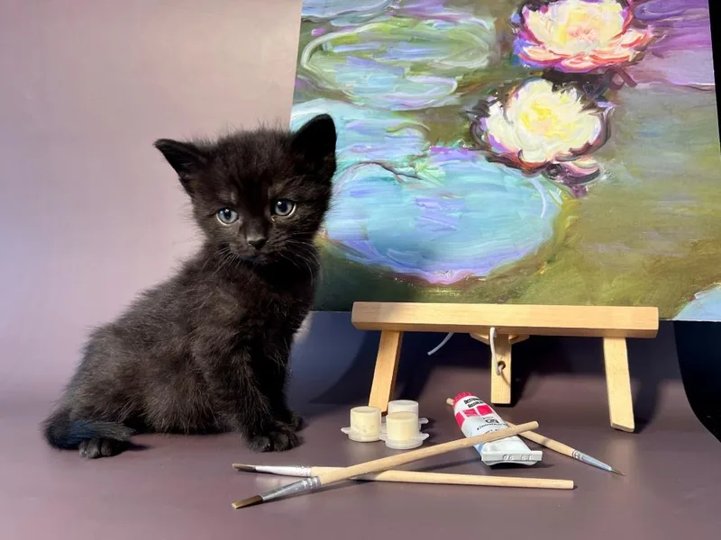 Clawed Monet