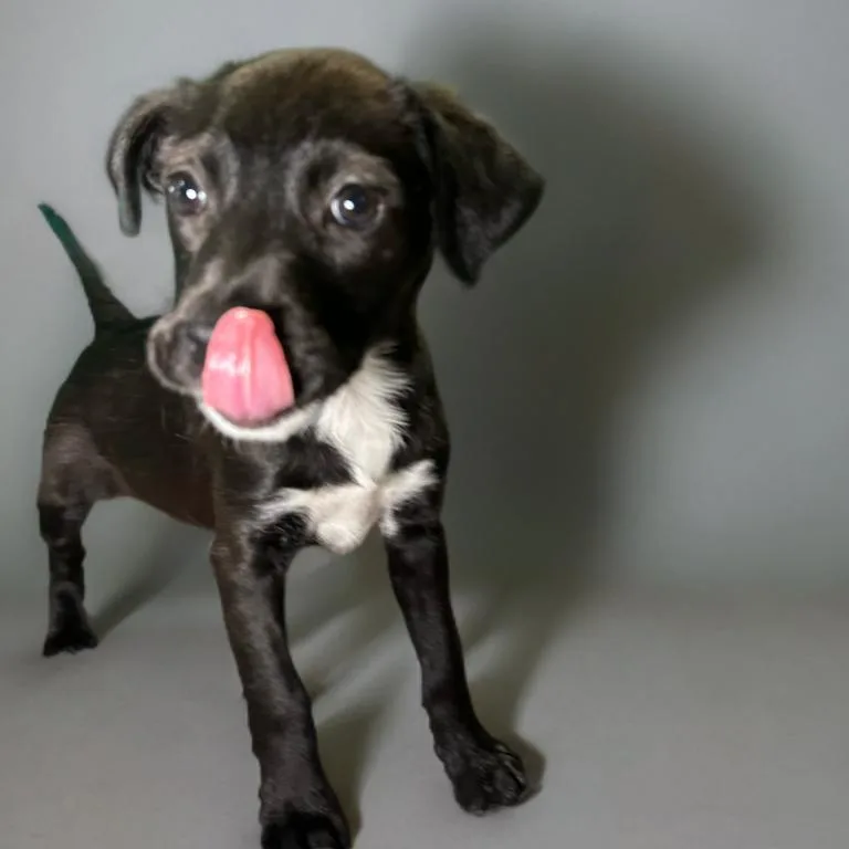 Ellie thumbnail 5