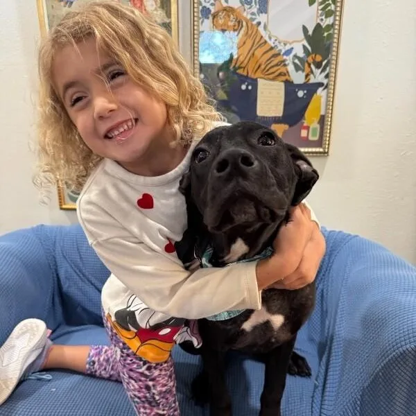 Archie Goofy Family Lab thumbnail 3