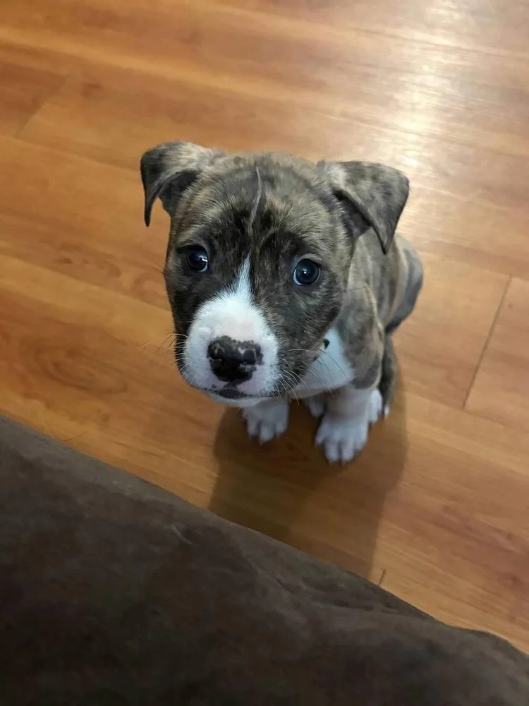 Captain Crunch thumbnail 6