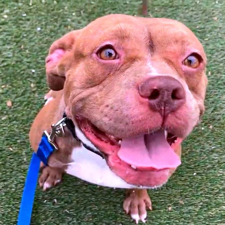 April Jonas thumbnail 2