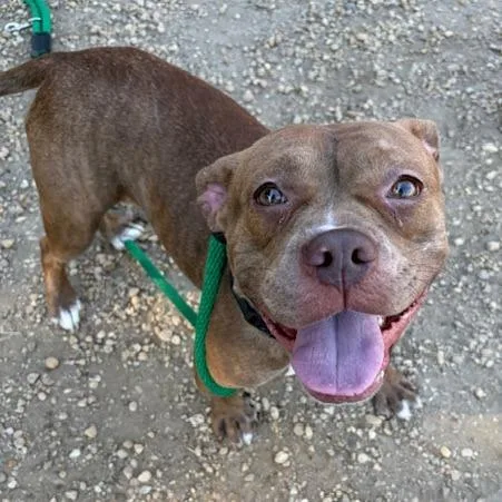 April Jonas thumbnail 3