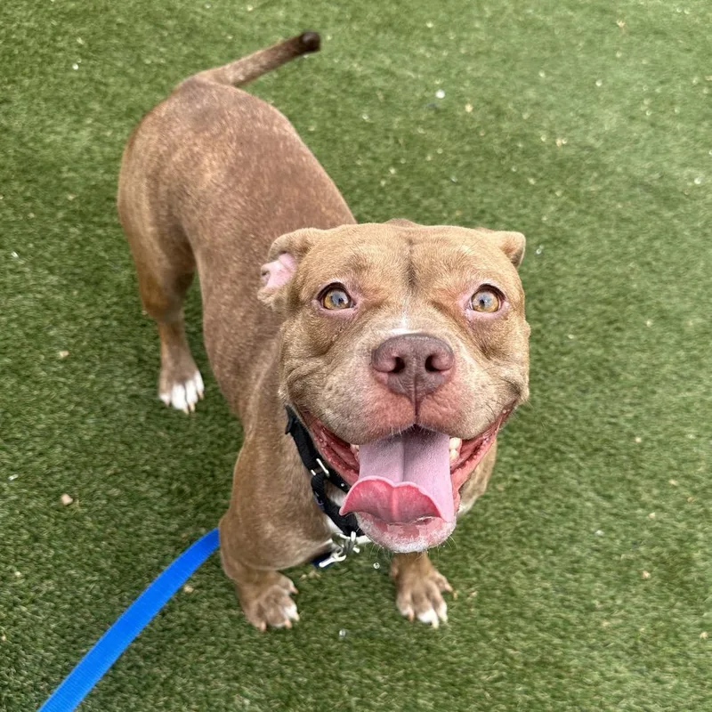 April Jonas thumbnail 4