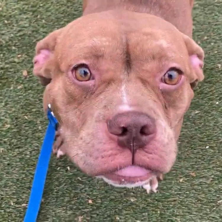 April Jonas thumbnail 5