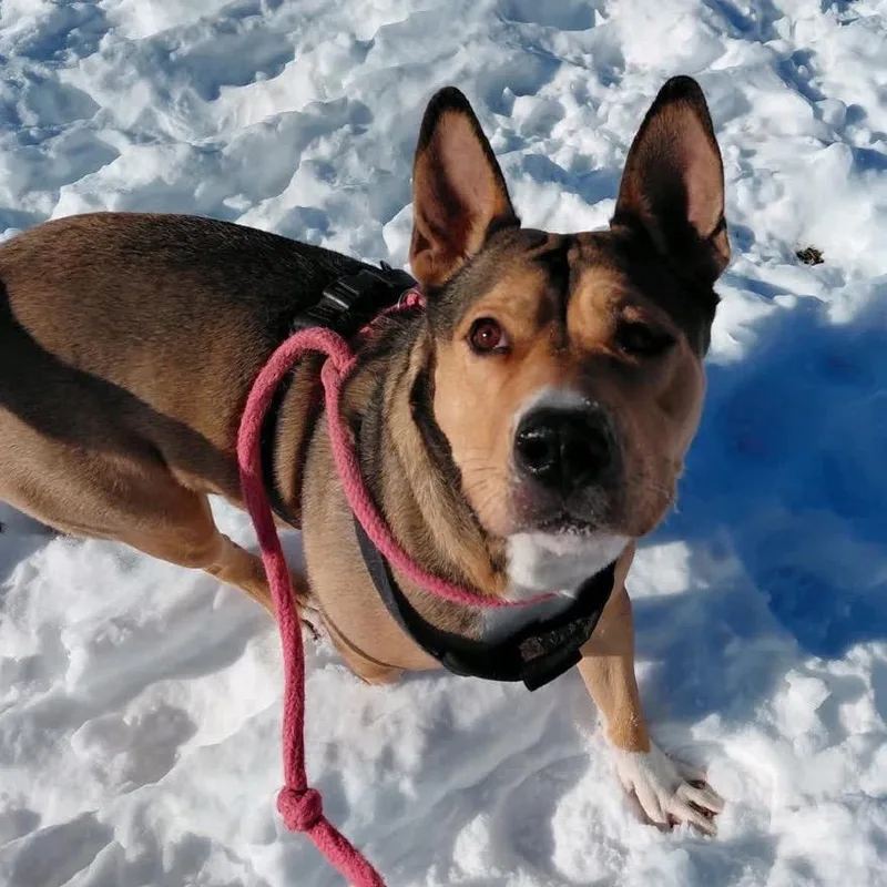 Moochie Mooch thumbnail 2