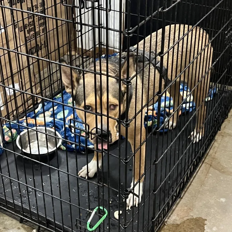 Moochie Mooch thumbnail 3