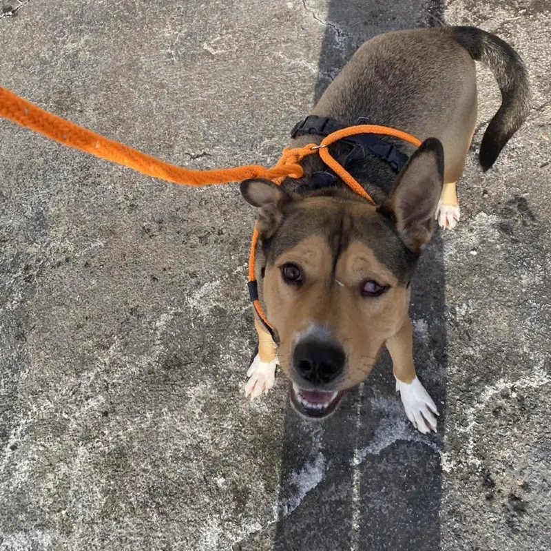 Moochie Mooch thumbnail 5