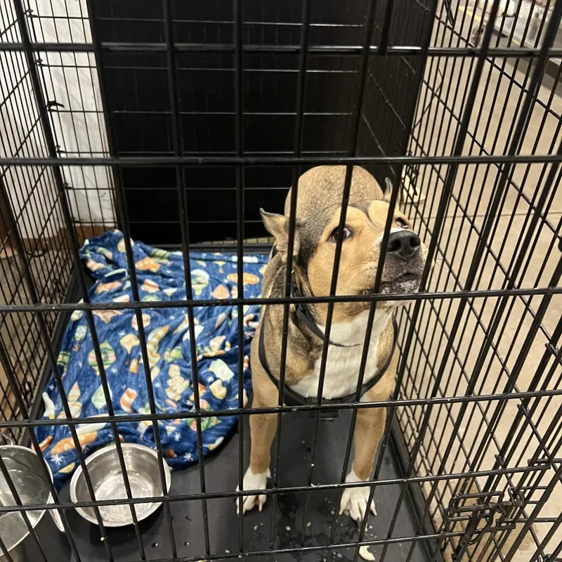 Moochie Mooch thumbnail 6