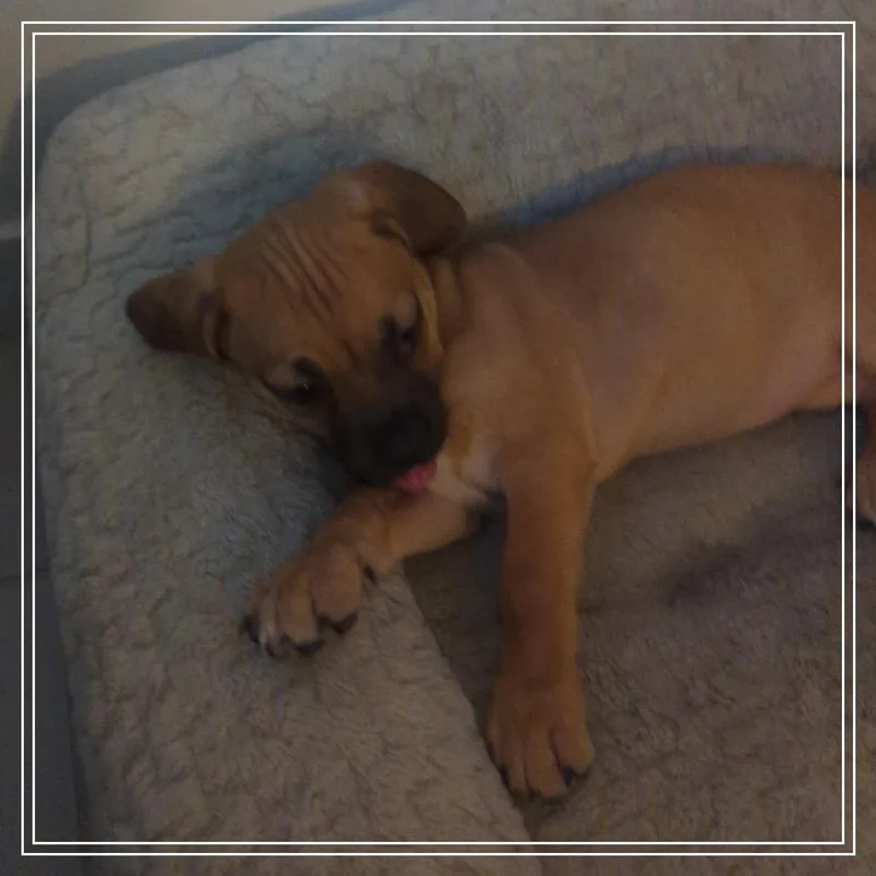 Eleanor thumbnail 2