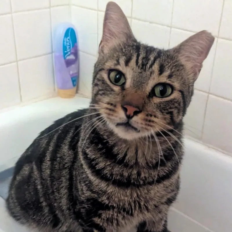 Uhoh @ Fat Cat thumbnail 2