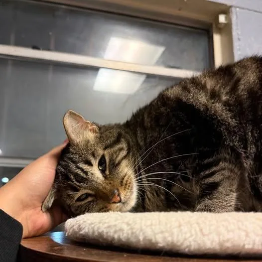 Uhoh @ Fat Cat thumbnail 3