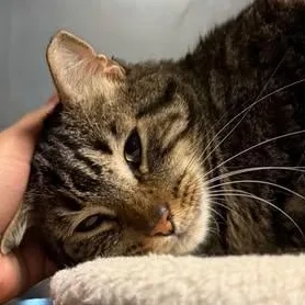 Uhoh @ Fat Cat thumbnail 4