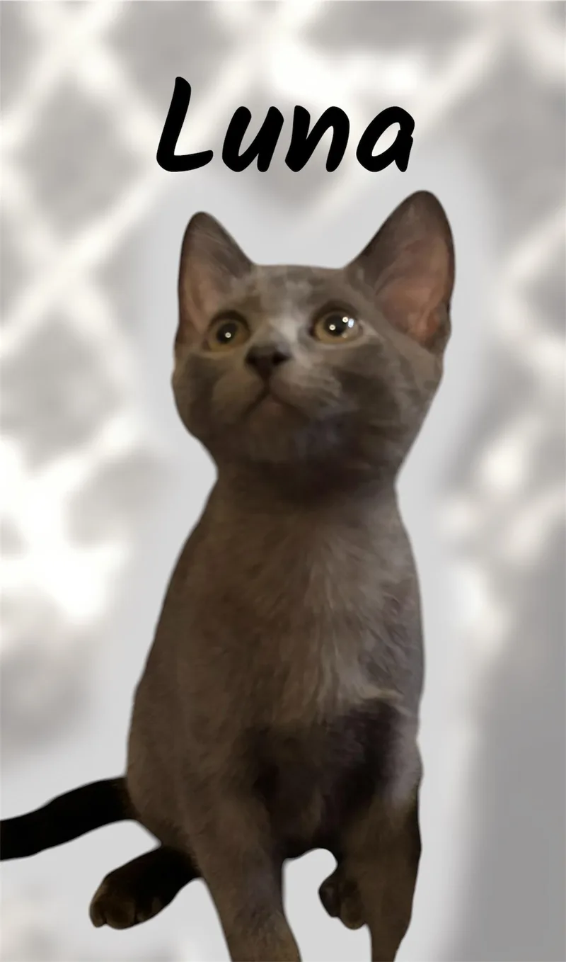 Luna