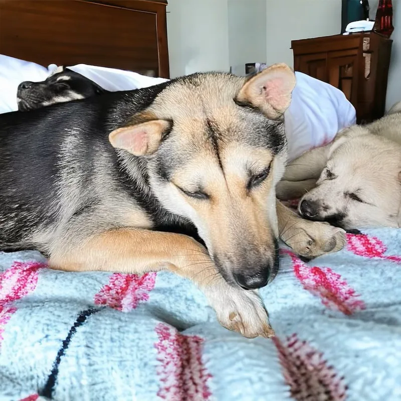 Lyndee thumbnail 5