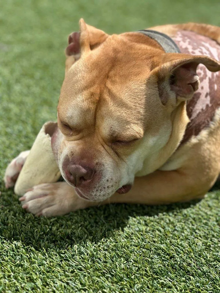 Esteban Your New Best thumbnail 2