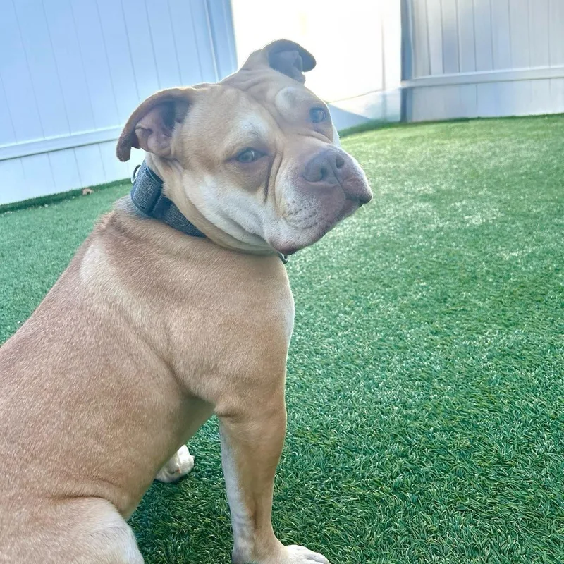 Esteban Your New Best thumbnail 3