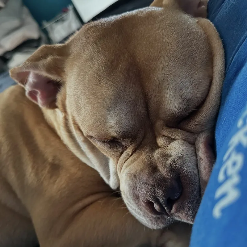 Esteban Your New Best thumbnail 4