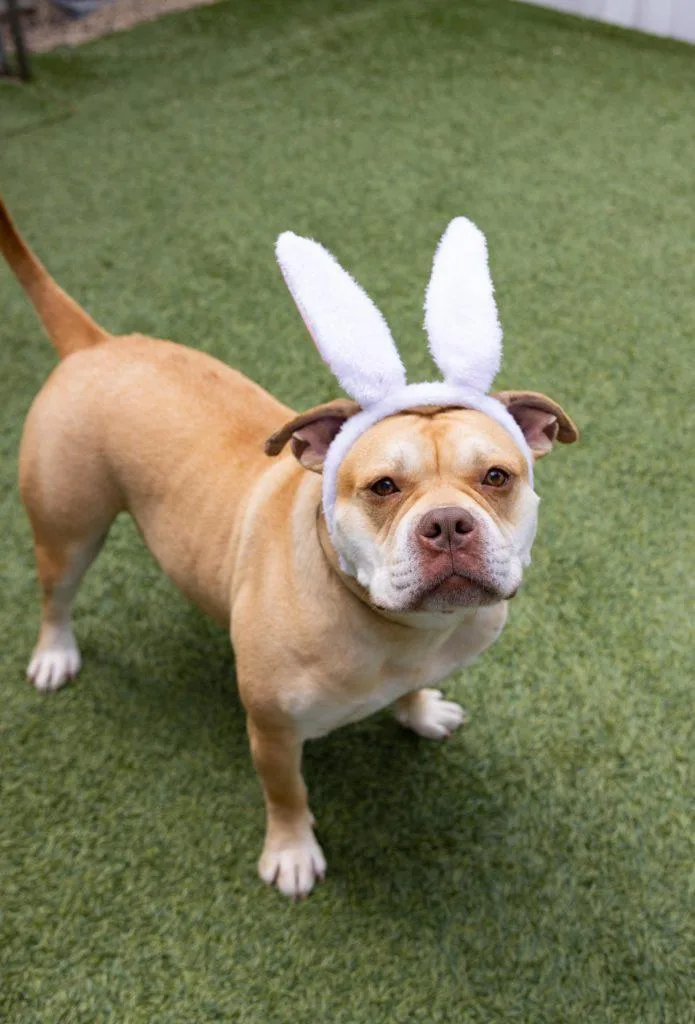 Esteban Your New Best thumbnail 6