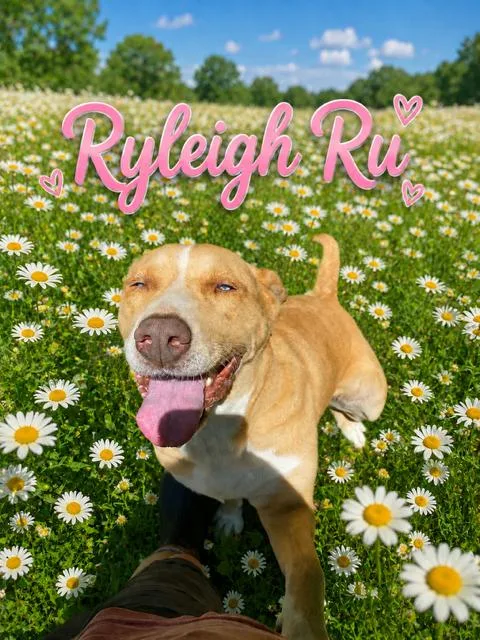 Ryleigh