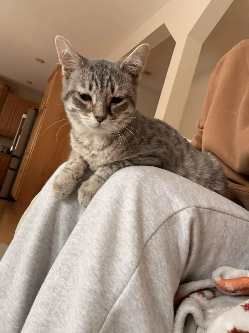 Penelope C