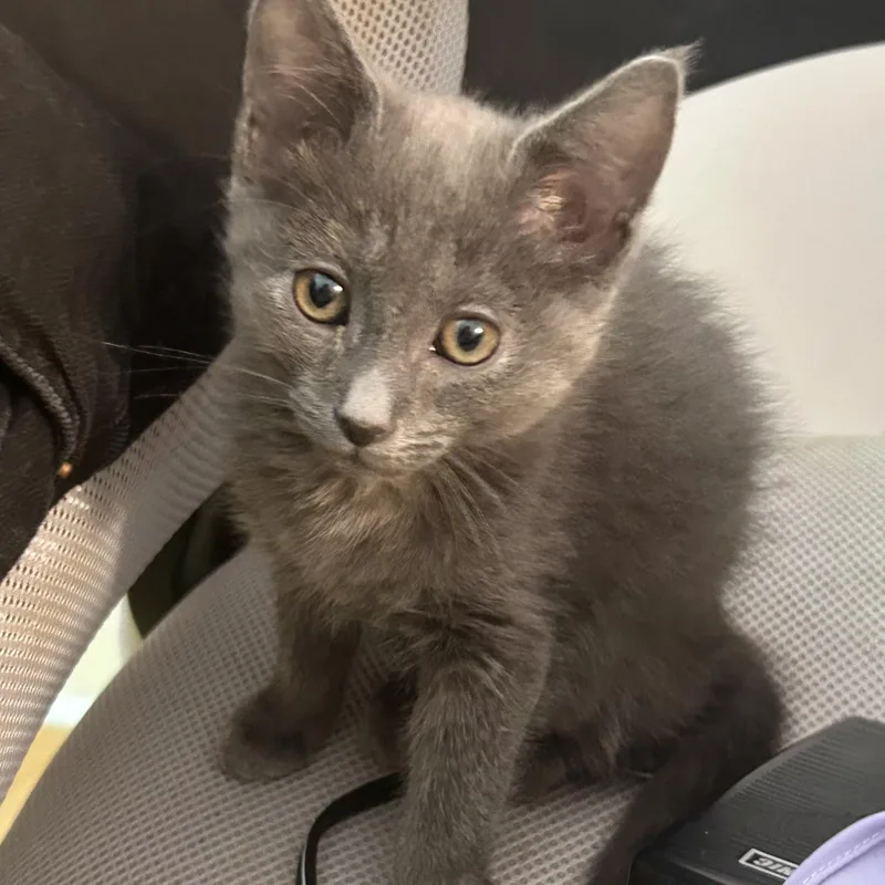 Stormy SO HANDSOME AND thumbnail 2