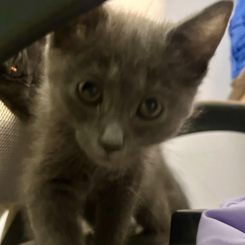 Stormy SO HANDSOME AND thumbnail 3