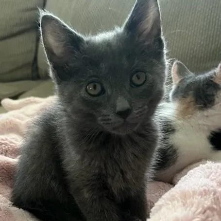 Stormy SO HANDSOME AND thumbnail 4