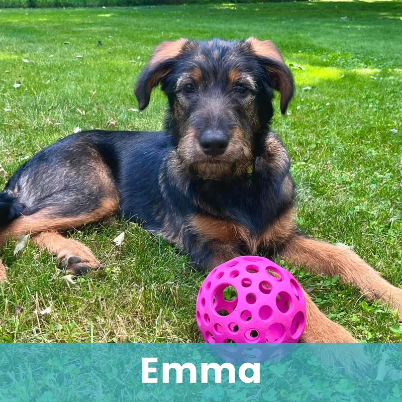 Emma thumbnail 4