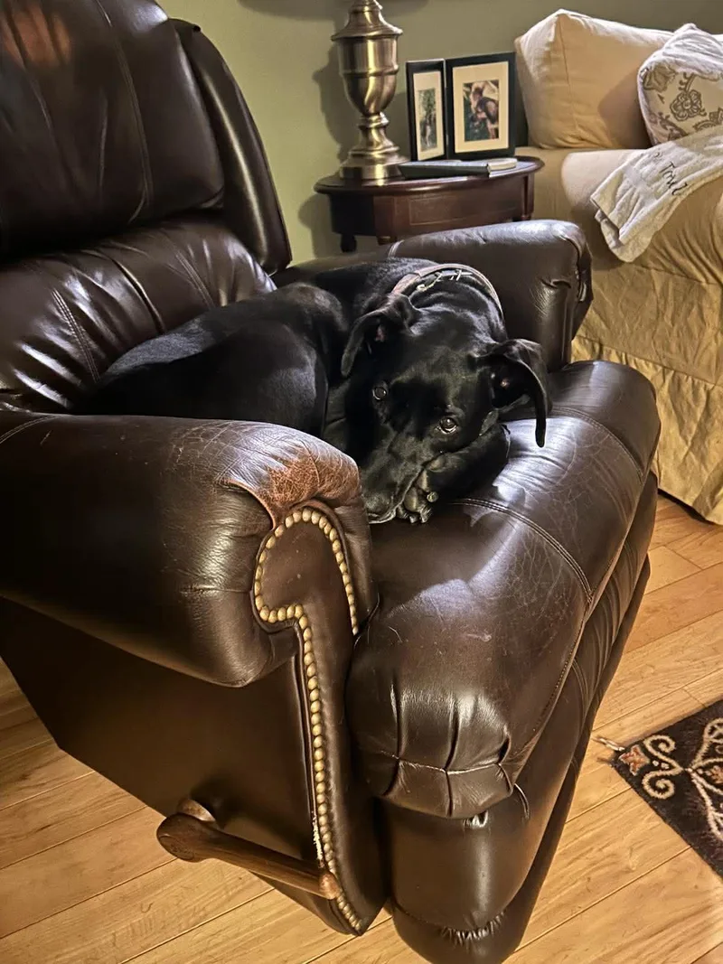 Millie Mae thumbnail 2