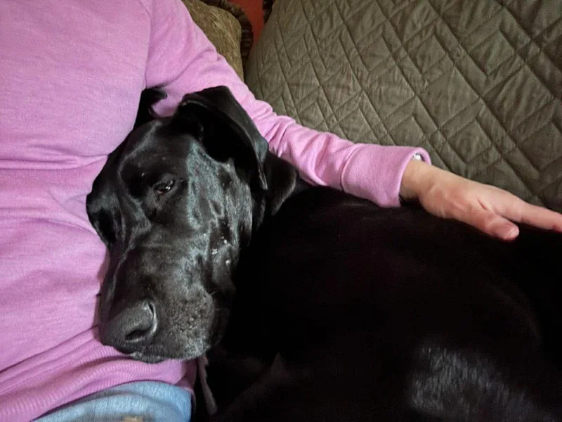 Millie Mae thumbnail 3