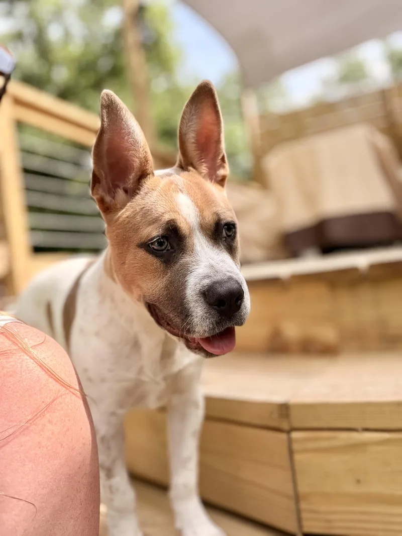 Tucker thumbnail 2