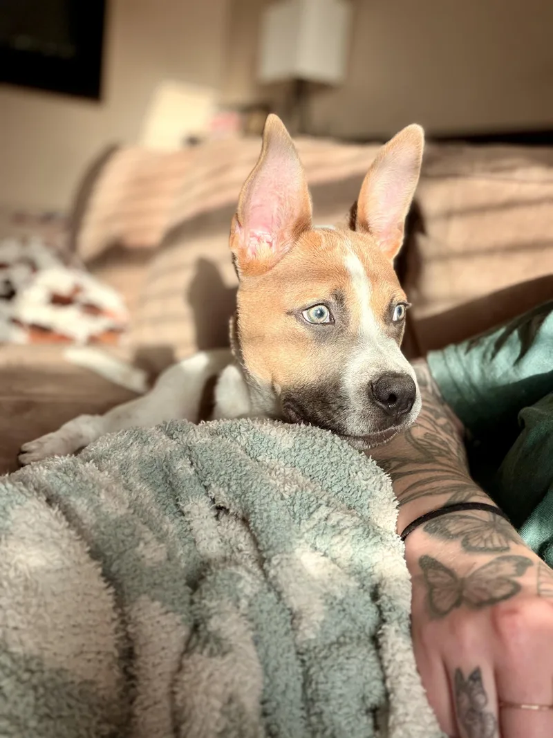 Tucker thumbnail 3