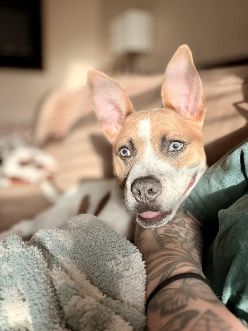 Tucker thumbnail 4