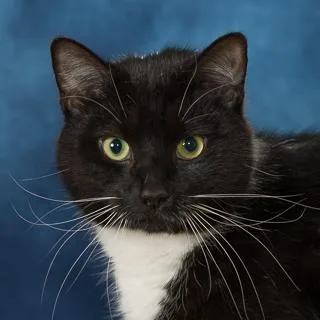 Jacqueline thumbnail 2