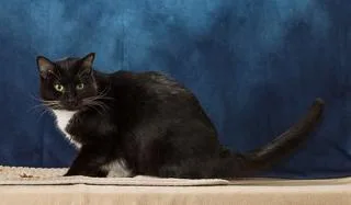 Jacqueline thumbnail 3