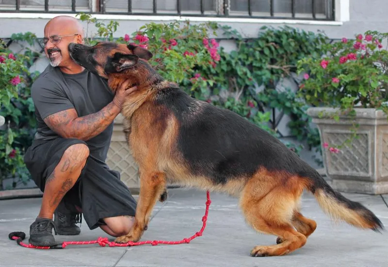 Samson Von Solingen thumbnail 2