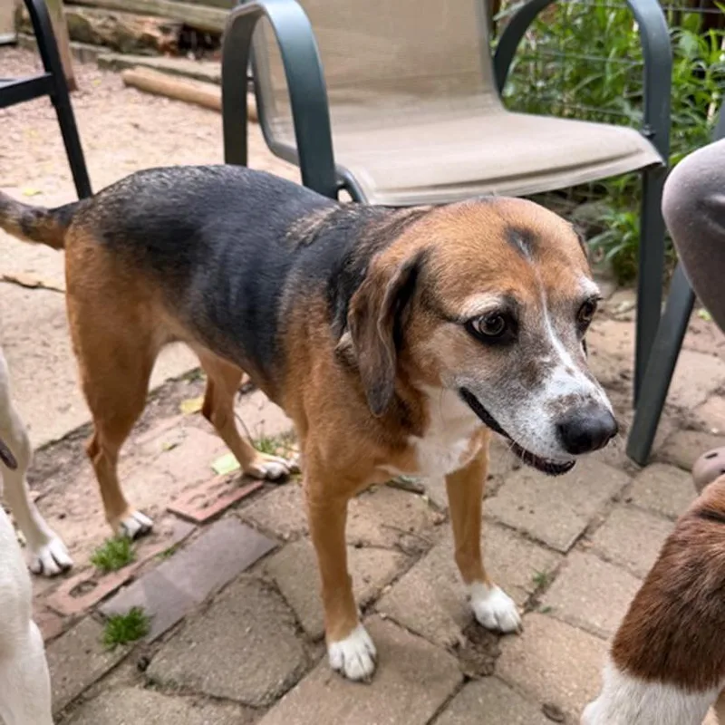 Bella & Lola thumbnail 2