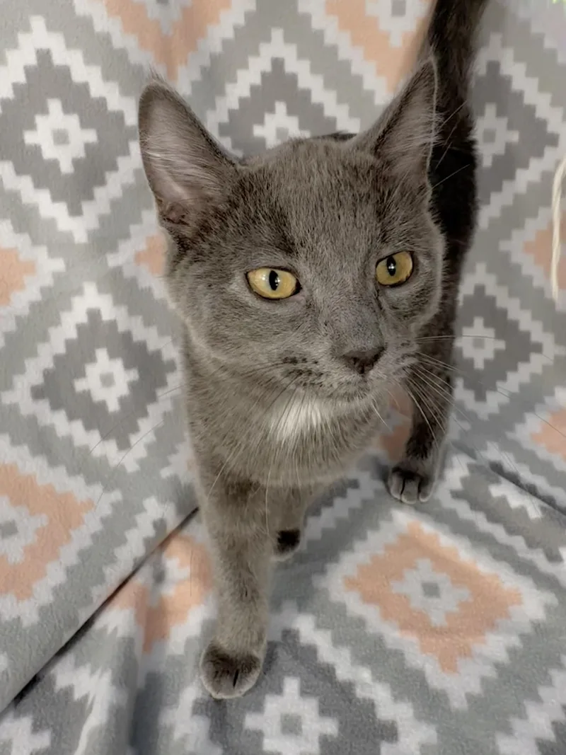 Hunter thumbnail 6