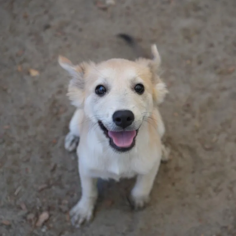 Esme thumbnail 3