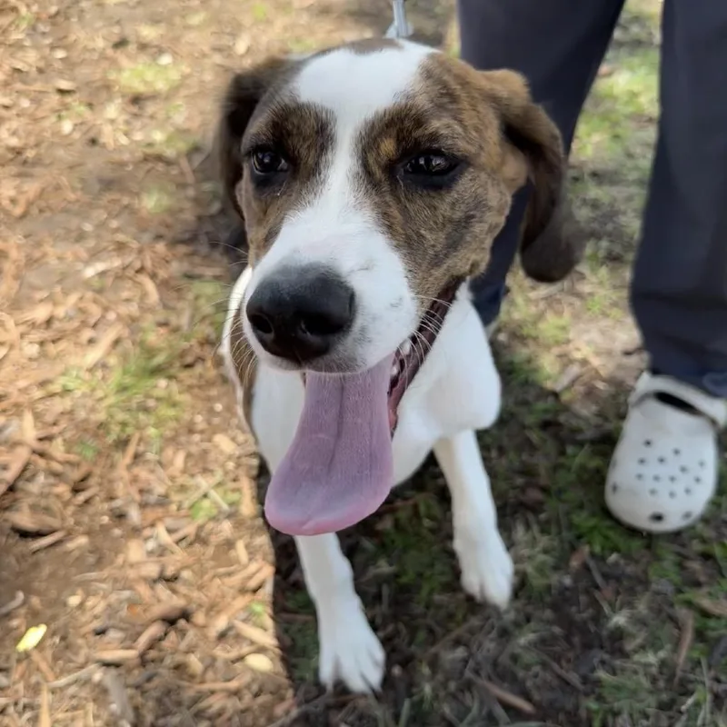 Jacqueline thumbnail 2