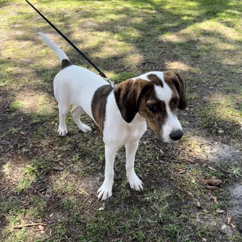 Jacqueline thumbnail 3