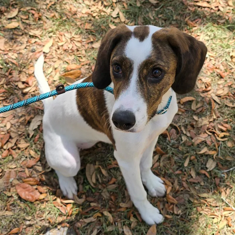 Jacqueline thumbnail 4