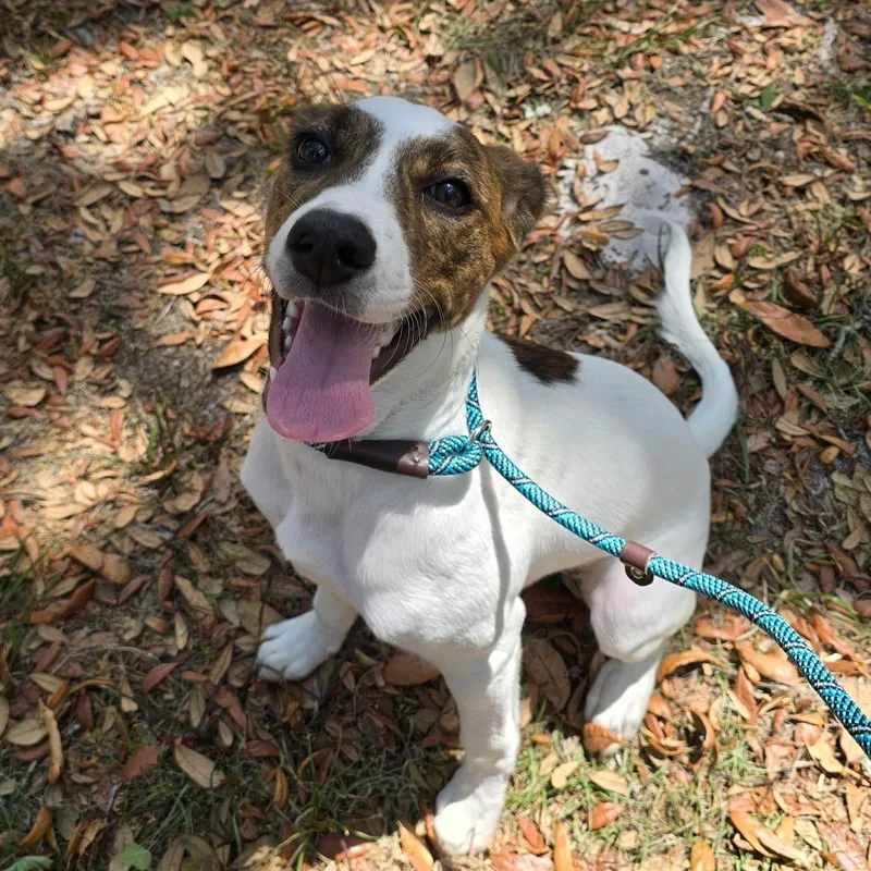 Jacqueline thumbnail 5