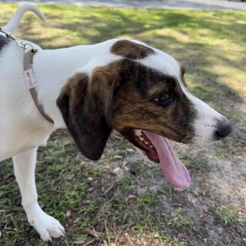 Jacqueline thumbnail 6