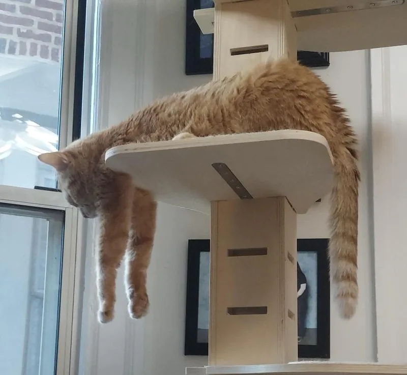Tig Tig Twiggy thumbnail 6