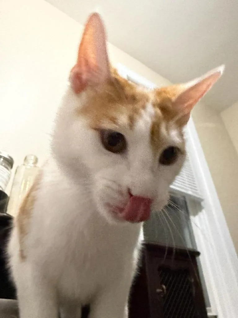 Woody thumbnail 2