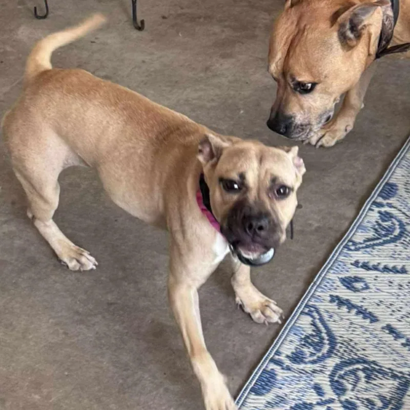 Margarita thumbnail 2