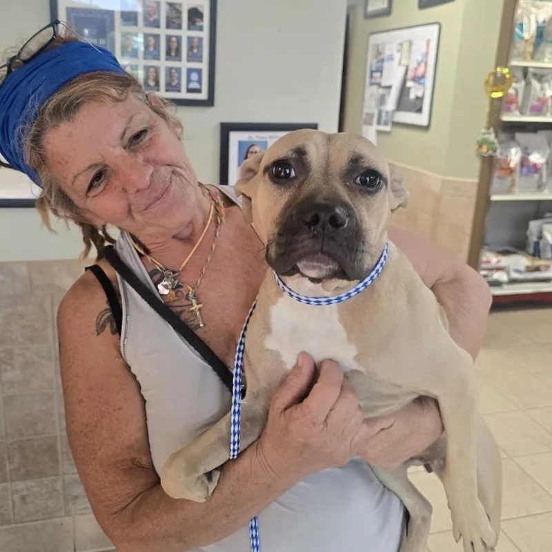 Margarita thumbnail 3