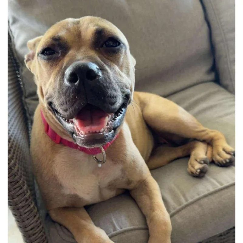 Margarita thumbnail 4